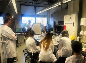 Dawid running crystallization workshops - DOKO 2025