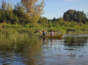 Lab Retreat 2025 - kayaking on the Narew river